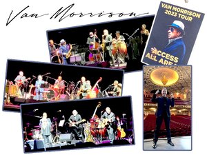Image of Van Morrison collage