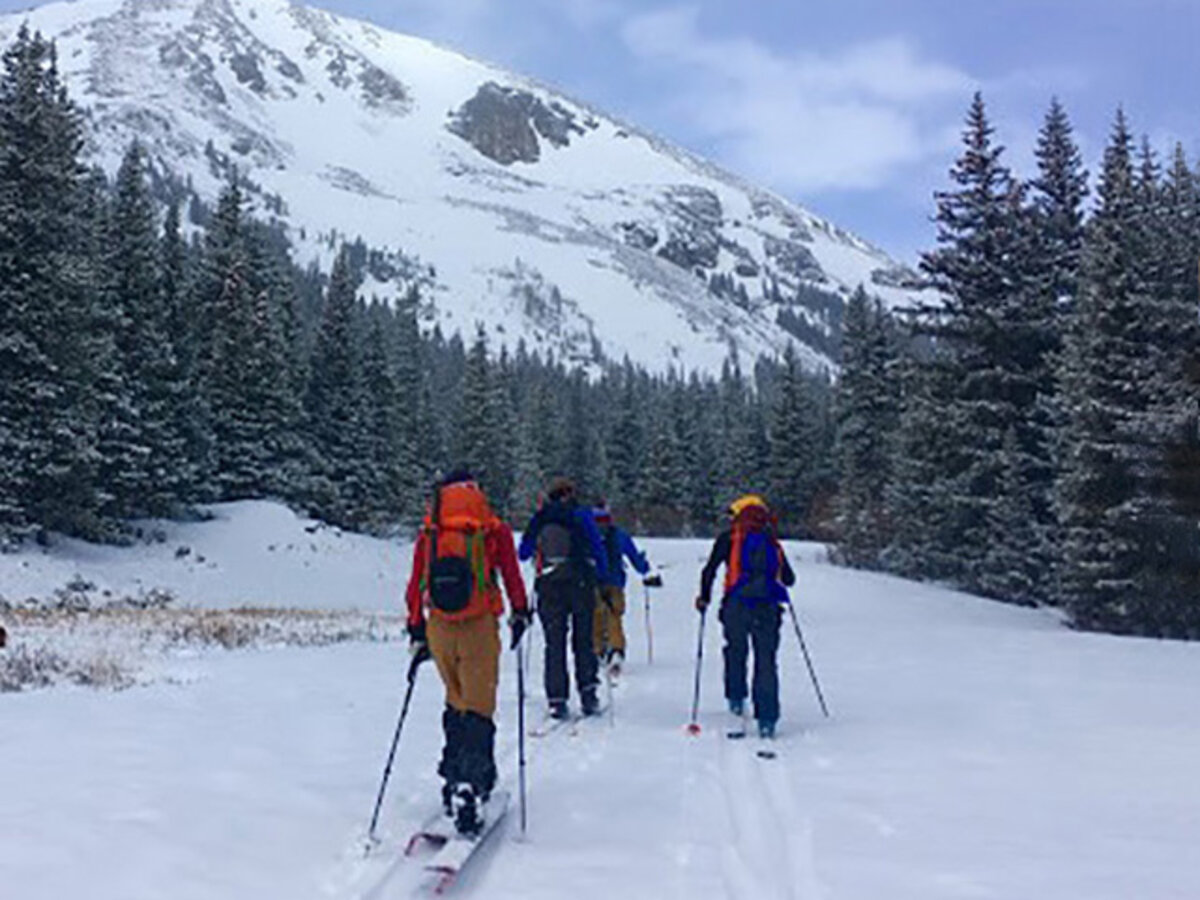 Four backcountry skiers surrounded by snowy fir trees