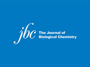 Mendez 15 Published In Journal Of Biological Chemistry Bennington College