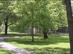 Pathway near Dickinson, with green grass and trees