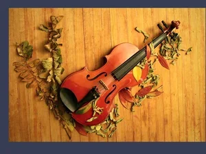 Violin & Viola Showcase