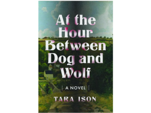 book cover of at the hour between dog and wolf