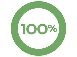 green infographic representing 100%