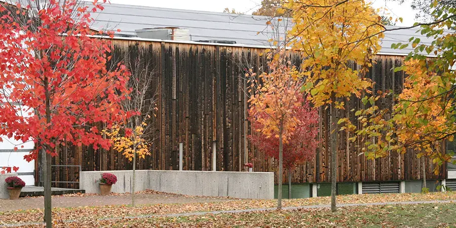 usdan gallery in the fall 