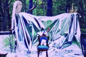 chair in a forest with shiny draped backdrop