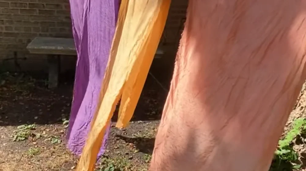 Image of silks drying