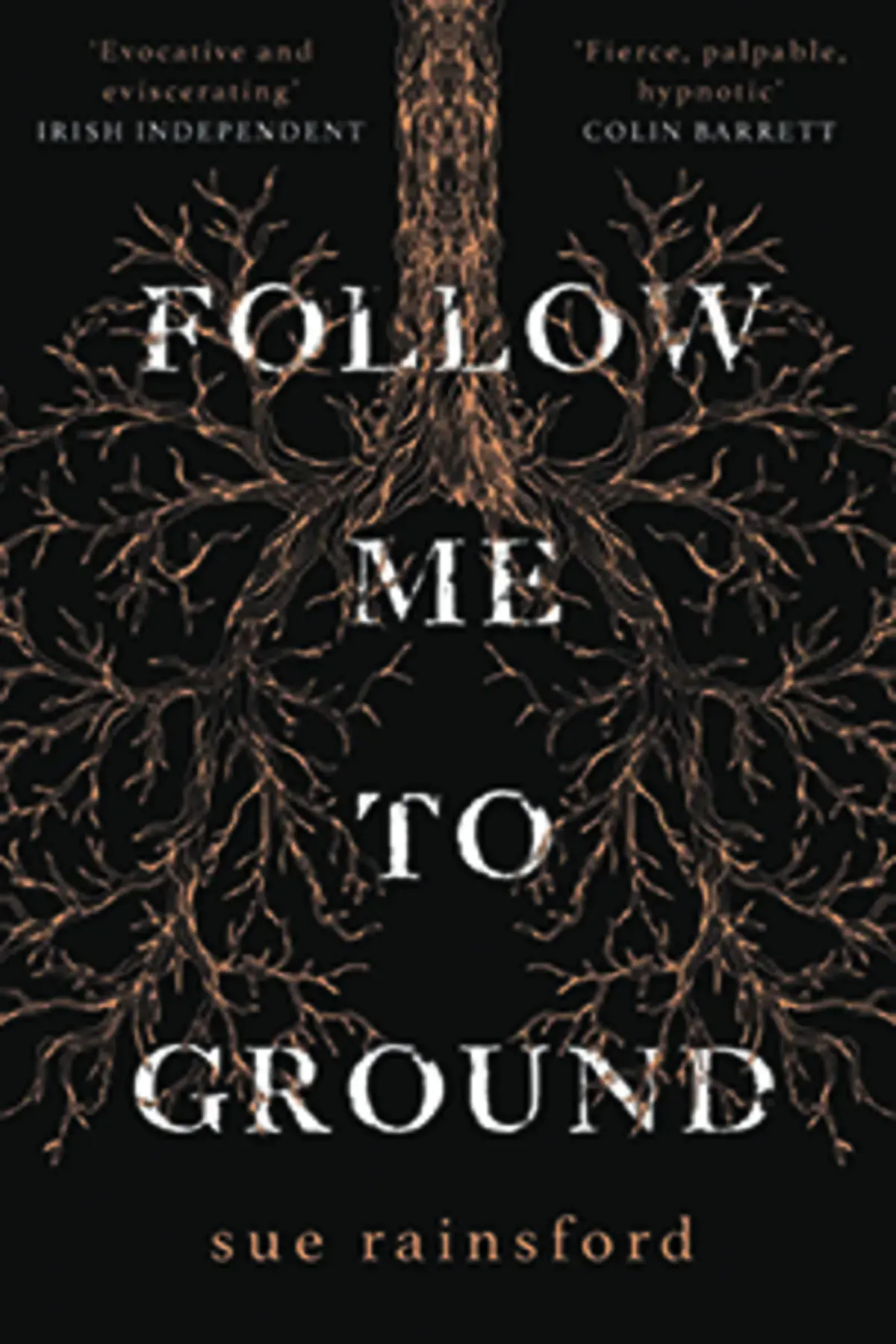 Roots of a tree on book cover of Follow Me to Ground by SUE RAINSFORD