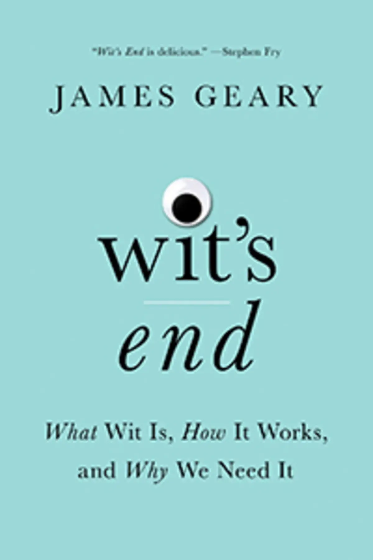 Light blue book cover with black words: Wit's End by James Geary
