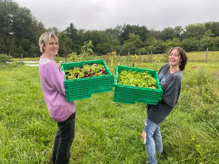 Harvesting lettuce with Lyra Holahan and Gracie Yaconelli '26